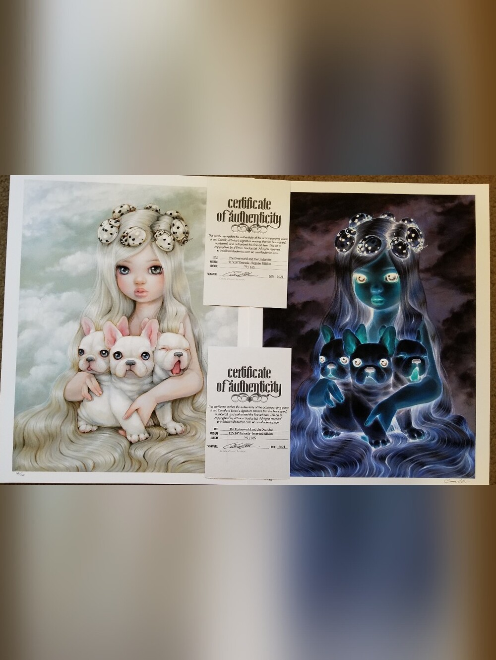 Camilla D'Errico Overworld & Underbite 11x14 Regular & Inverted, Numbered Prints